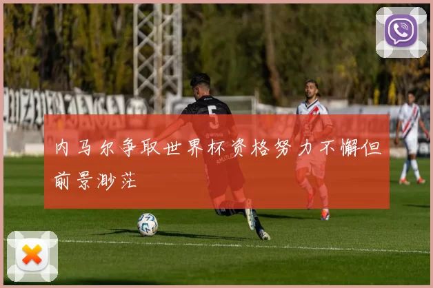 内马尔争取世界杯资格努力不懈但前景渺茫