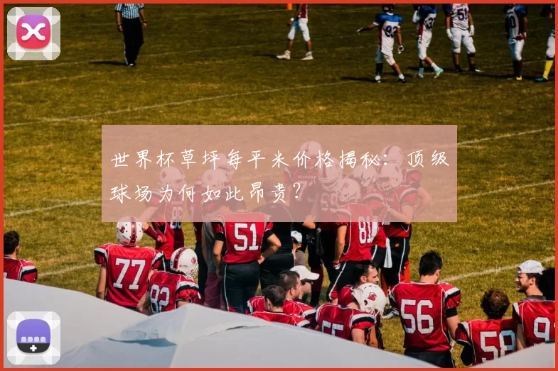 世界杯草坪每平米价格揭秘:顶级球场为何如此昂贵?