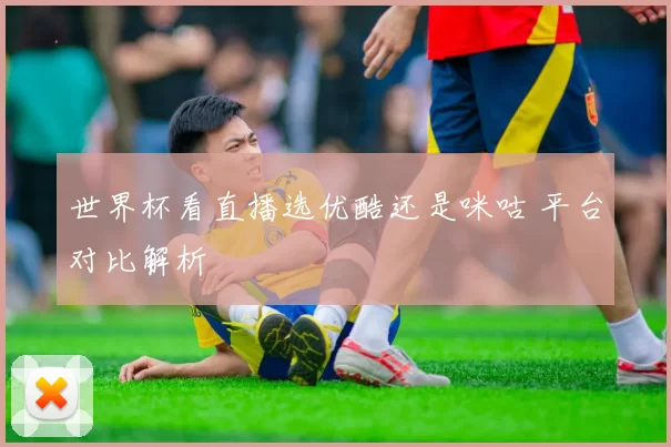 世界杯看直播选优酷还是咪咕 平台对比解析