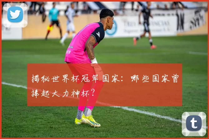 揭秘世界杯冠军国家:哪些国家曾捧起大力神杯?