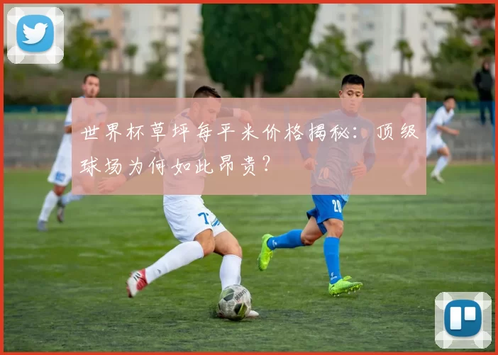 世界杯草坪每平米价格揭秘：顶级球场为何如此昂贵？