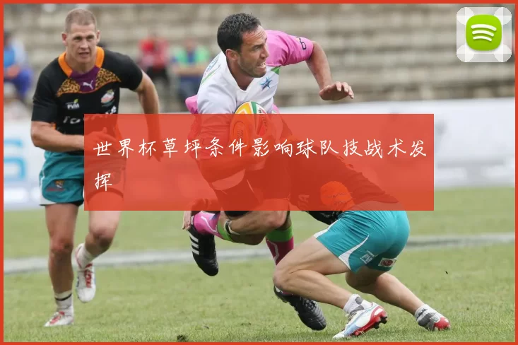 世界杯草坪条件影响球队技战术发挥