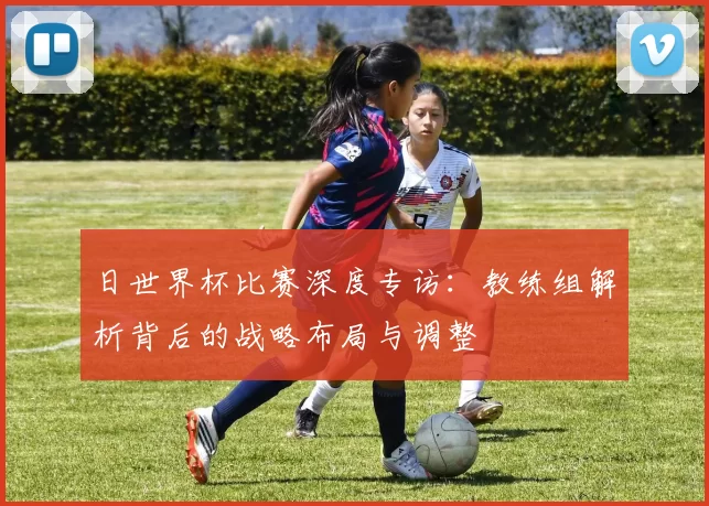 日世界杯比赛深度专访：教练组解析背后的战略布局与调整