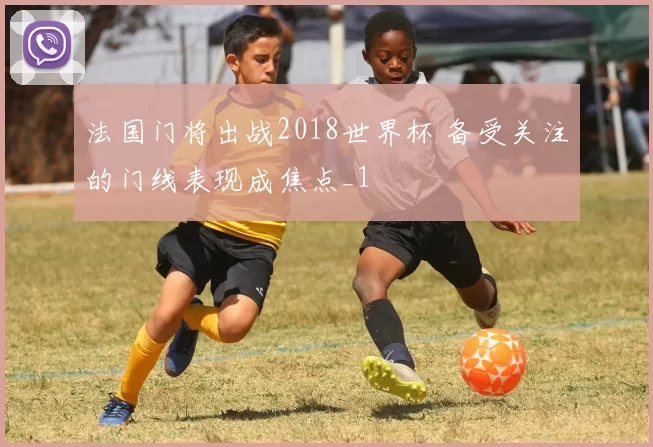 法国门将出战2018世界杯 备受关注的门线表现成焦点_1