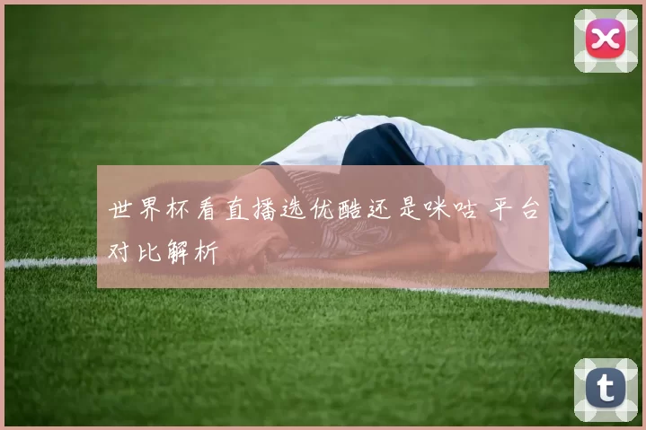 世界杯看直播选优酷还是咪咕 平台对比解析