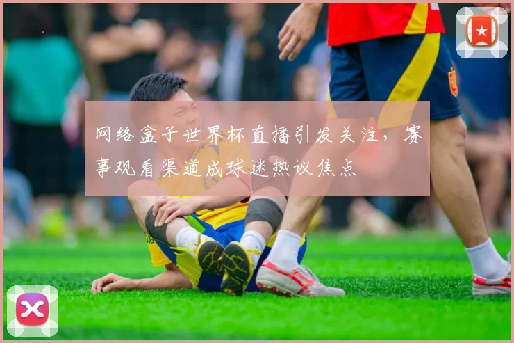 网络盒子世界杯直播引发关注，赛事观看渠道成球迷热议焦点