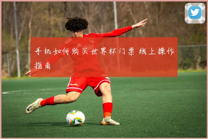 手机如何购买世界杯门票 线上操作指南