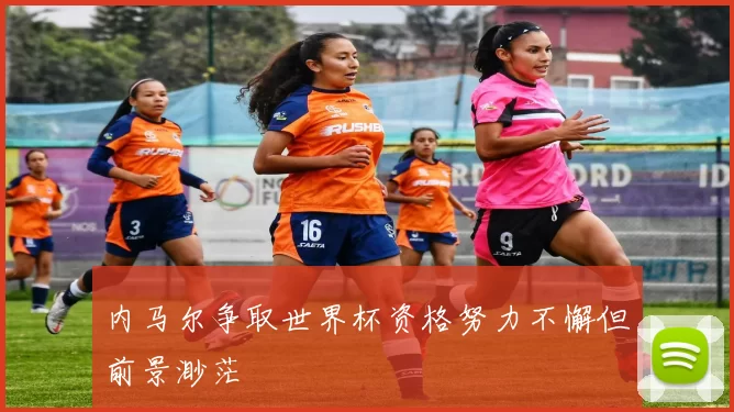 内马尔争取世界杯资格努力不懈但前景渺茫